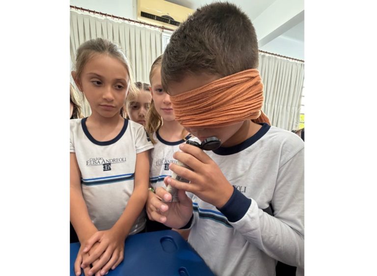 Fotos evidências LEM (4)